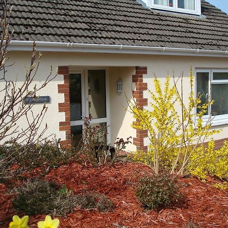 Talybont B&B Aberystwyth Tal-y-bont  Ngoại thất bức ảnh