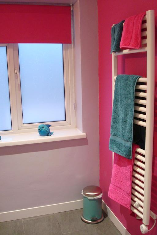Talybont B&B Aberystwyth Tal-y-bont  Ngoại thất bức ảnh